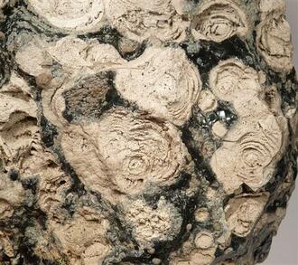 Photos: Mineral 220000