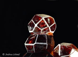 Photos: Shining a Different Light on Things 