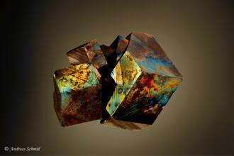 Photos: Shining a Different Light on Things 