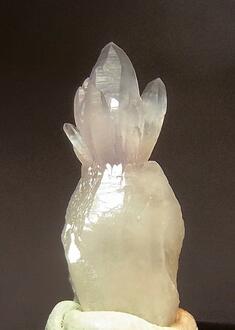 Photos: A different habit in Quartz